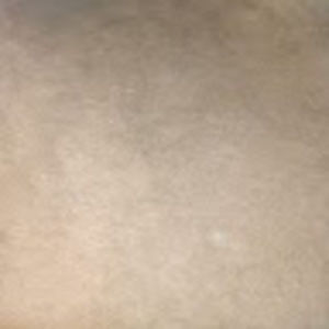 Meet your Posher, Anibal